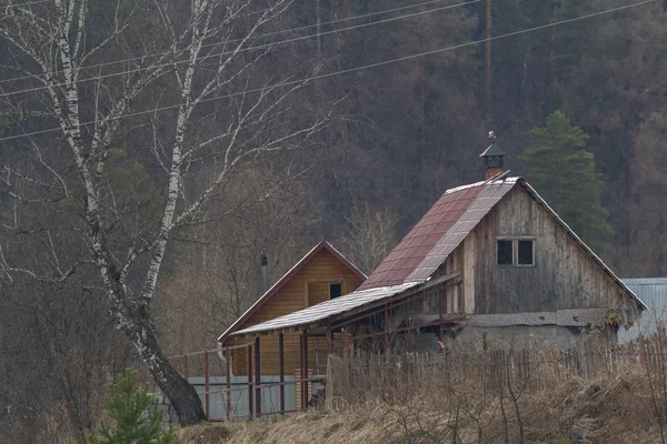 Casa de campo de madera en el bosque - disparo de teleobjetivo —  Fotos de Stock