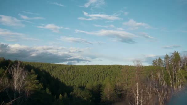 Pohyb slunce zapadá a blikání nad lesem — Stock video