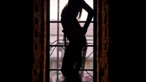 窓の前でヘビと踊る女性サーカス女優シルエット — ストック動画