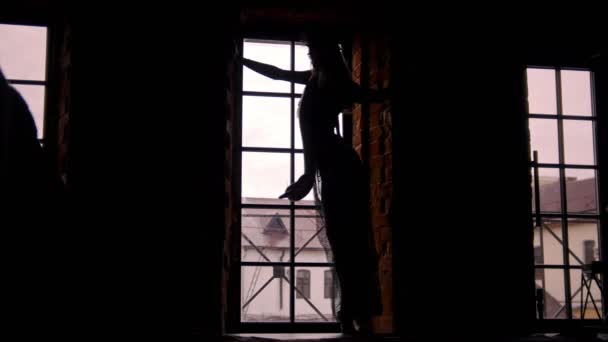 Graceful female silhouette dance with python in front of window — Stock Video