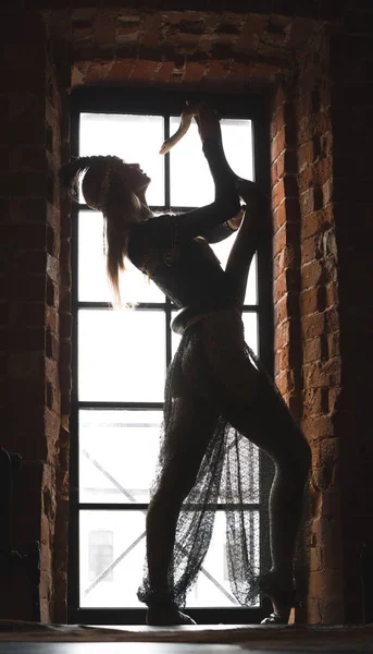 Dancing silhouette of woman with a snake in front of window