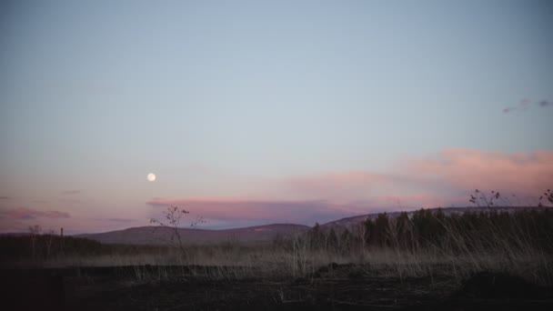 Bellissimo paesaggio primaverile in un campo sul tramonto — Video Stock