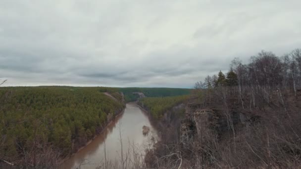 Emozionante paesaggio primaverile con vista sul fiume di montagna e fitto bosco — Video Stock