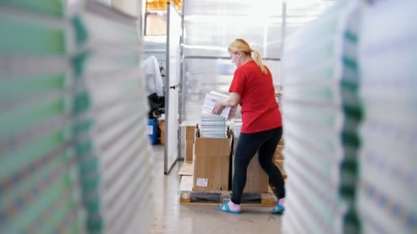 Kvinnlig arbetstagare sätter tryckta tidskrifter i en låda genom papper stackarna — Stockvideo