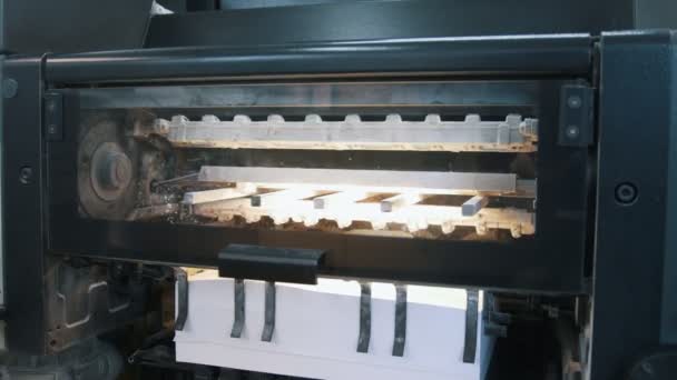 Printing press machine in actie in de typografie — Stockvideo