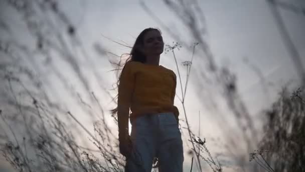 Young woman with long hair flying in the wind through the grass at sunset — Stock Video