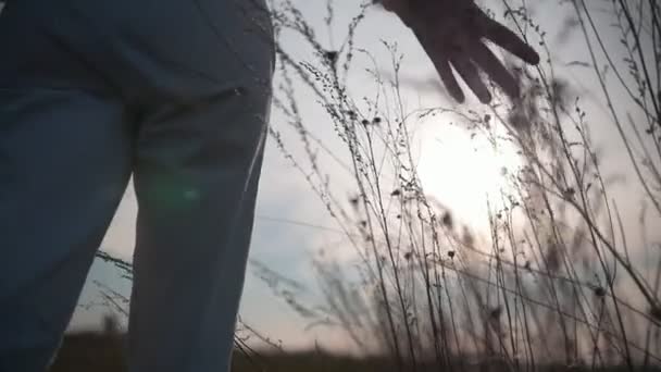 Женщина с идет через траву на закате — стоковое видео