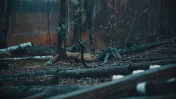 Пейзаж осеннего туманного леса - из земли торчит палка — стоковое видео
