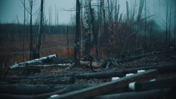 Ένα τοπίο του φθινοπώρου ομιχλώδες δάσος - ένα νεκρό σώμα στρατιωτών που βρίσκεται στο έδαφος — Αρχείο Βίντεο