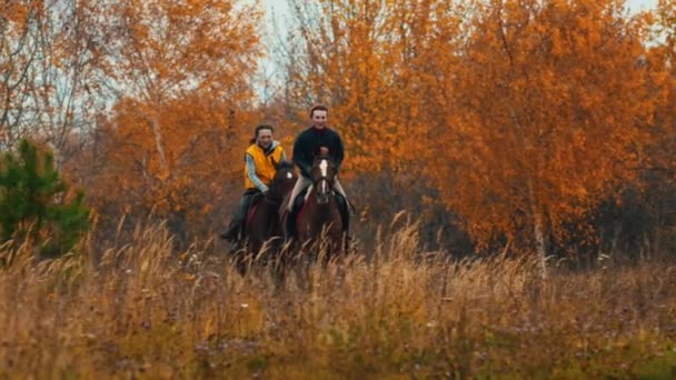 Duas mulheres nos cavalos de costas se divertindo correndo no campo — Vídeo de Stock