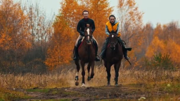 Duas mulheres nos cavalos costas tendo um bom tempo correndo no campo - um cão seguindo-os — Vídeo de Stock