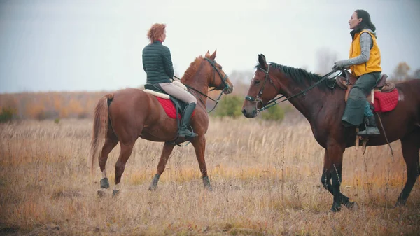 Zwei Frauen in Jacken auf dem herbstlichen Feld — Stockfoto