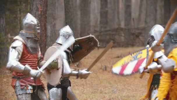 Четверо рыцарей сражаются на поле посреди леса. — стоковое видео