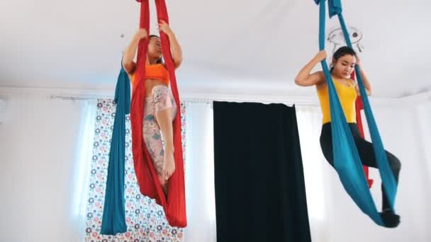 Aerial Yoga - zwei Frauen, die in Hängematten üben - darin stehen — Stockvideo