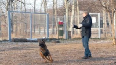 Köpeğini parkta eğiten bir adam sopayı fırlatıyor.