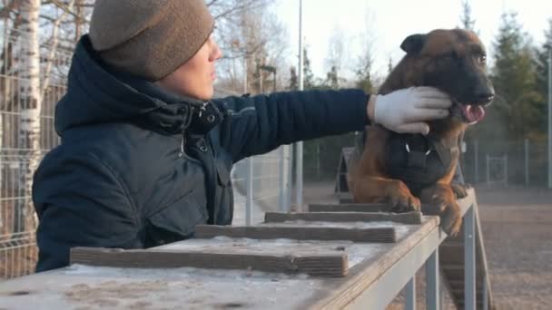 Усміхнений дресирувальник, який прив "язував до себе свого собаку - пастуха, що сидить на підставці. — стокове відео