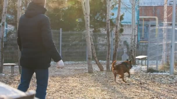Ένας άντρας παίζει με τον εκπαιδευμένο σκύλο του με το ραβδί. — Αρχείο Βίντεο