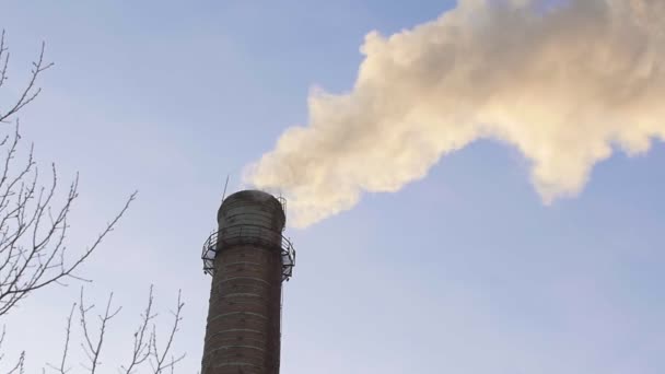 El concepto industrial - el humo que sale de la pipa - la contaminación del aire — Vídeos de Stock