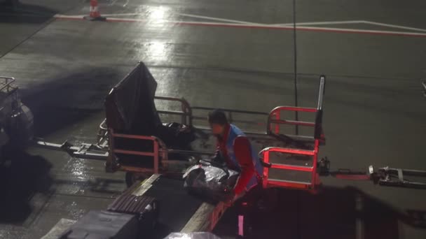 23-11-2019 PAYS-BAS, AMSTERDAM : Un personnel de l'aéroport décharge les bagages de l'avion — Video