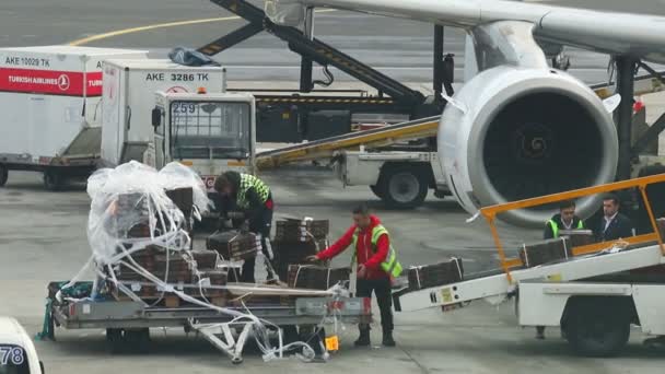 23-11-2019 PAÍSES BAJOS, AMSTERDAM: Un personal del aeropuerto cargando el equipaje en el avión - Aerolíneas Turcas — Vídeos de Stock