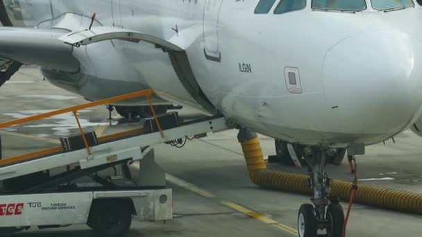 23-11-2019 Hollanda, Amsterdam: Bir havaalanı personeli bagajı hareket halindeki kemerle yüklüyor - Türk Havayolları — Stok video