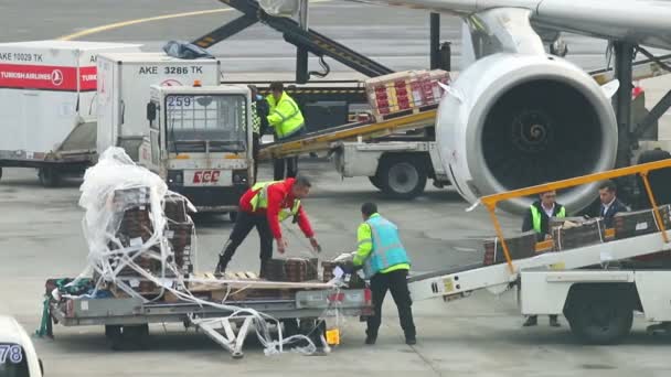 23-11-2019 PAÍSES BAJOS, AMSTERDAM: Un personal del aeropuerto cargando el equipaje en el avión - Aerolíneas Turcas — Vídeos de Stock