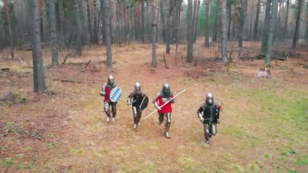 Quatro homens cavaleiros correndo na fila na floresta em armadura completa - dia — Vídeo de Stock