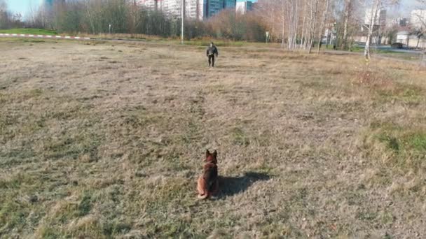 Ein Hundeführer, der sich von seinem Hund entfernt — Stockvideo