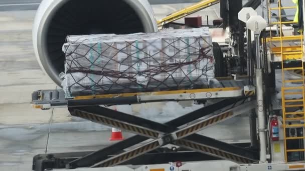 Аэропорт - погрузка багажа в самолет — стоковое видео