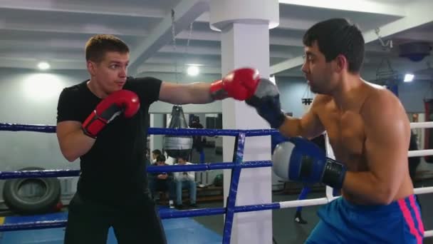 Entrenamiento en cajas: dos hombres peleando en el ring de boxeo — Vídeos de Stock