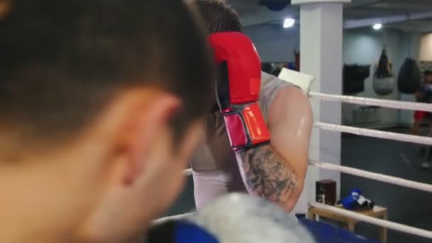 Treinamento de caixa - dois homens suados lutando no ringue de boxe - leva um homem a um canto do ringue — Vídeo de Stock