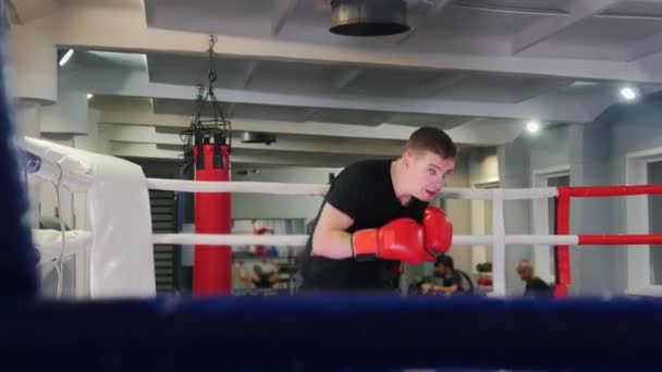 Навчання боксу - людина, що виконує бокс тіней — стокове відео