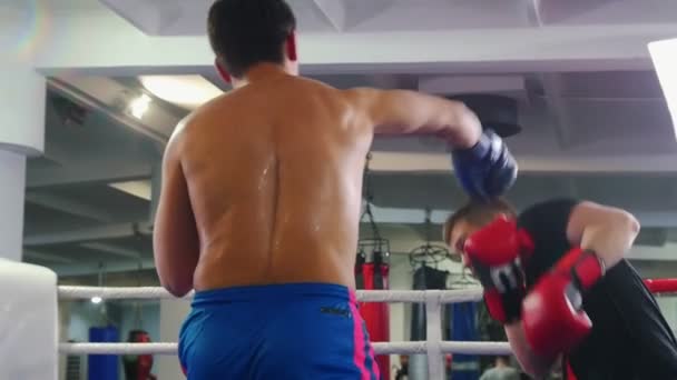 Box trénink v interiéru - dva muži agresivně bojují na boxerském ringu - jeden z mužů v černém tričku — Stock video