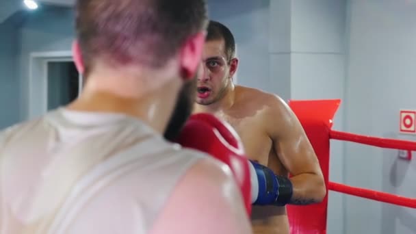 Box trénink v tělocvičně - dva muži s chráničem rvačky na boxerském ringu — Stock video