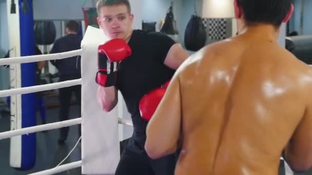 Boxe dans la salle de gym - deux hommes ayant un combat d'entraînement — Video