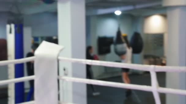 Boxning i gymmet inomhus - två män som har en träningsmatch — Stockvideo