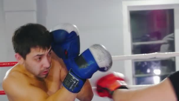 Boxe - dois homens tendo uma luta de treinamento no ginásio - um deles tendo uma camiseta preta — Vídeo de Stock