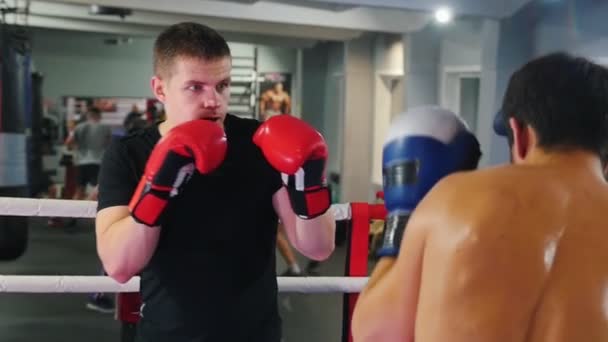Boxeo - dos hombres sudorosos teniendo una pelea de entrenamiento en el gimnasio - uno de ellos con una camiseta negra — Vídeos de Stock