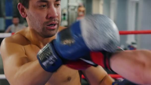 Boxen - zwei verschwitzte Männer liefern sich einen aggressiven Kampf im Fitnessstudio — Stockvideo