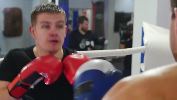 Boxe - um homem de t-shirt preta tendo uma luta no ringue — Vídeo de Stock