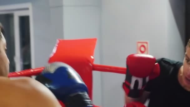 Boxe - um homem de t-shirt preta tendo uma luta no canto do anel — Vídeo de Stock