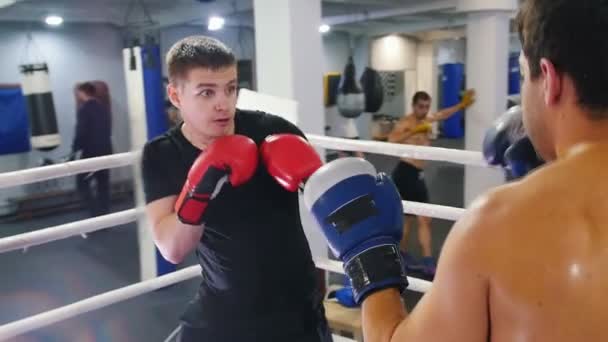 Boxeo en el interior - un hombre sudoroso teniendo una pelea de entrenamiento con su oponente — Vídeos de Stock