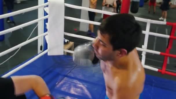 Box v interiéru - dva muži mají tréninkový souboj na boxerském ringu - útok a ochrana — Stock video