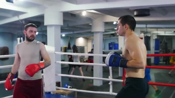 Boxning inomhus - två män går ut på ringen och står framför varandra — Stockvideo