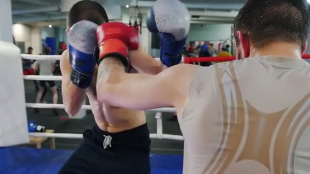 Boks wewnątrz - dwóch mężczyzn walczących na ringu bokserskim - atakują i chronią — Wideo stockowe