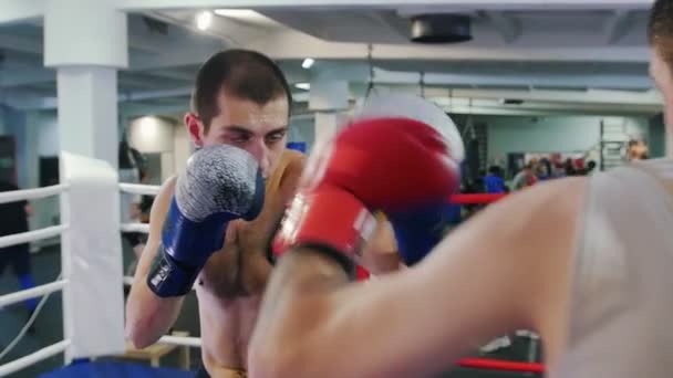 Boxing indoors - two sweaty men having an aggressive fight on the boxing ring - attack and protect — Stock Video