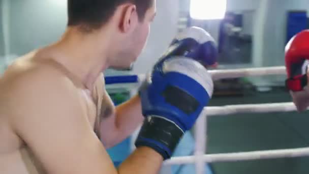 Boxing indoors - two men having an aggressive fight on the ring - attack and protect — Stock Video