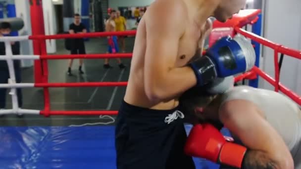 Treinamento de boxe - dois homens atléticos tendo uma luta de treinamento no ringue — Vídeo de Stock