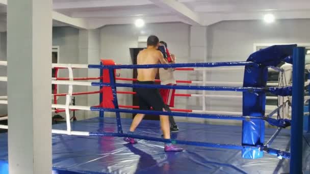 Treinamento de boxe no ginásio - dois homens atléticos tendo uma luta de treinamento no ringue de boxe — Vídeo de Stock