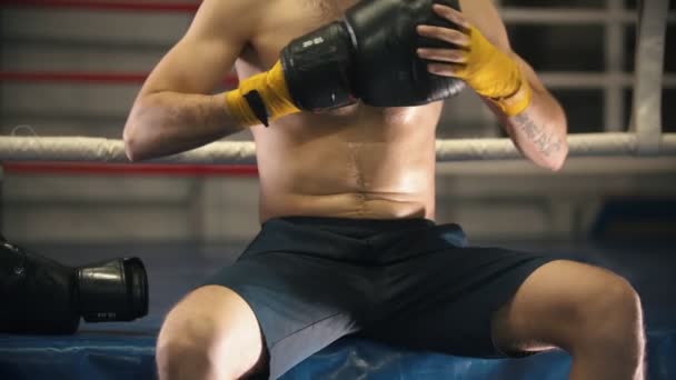 Boxtraining - ein tätowierter Mann sitzt auf dem Ring und zieht Kampfhandschuhe an — Stockvideo